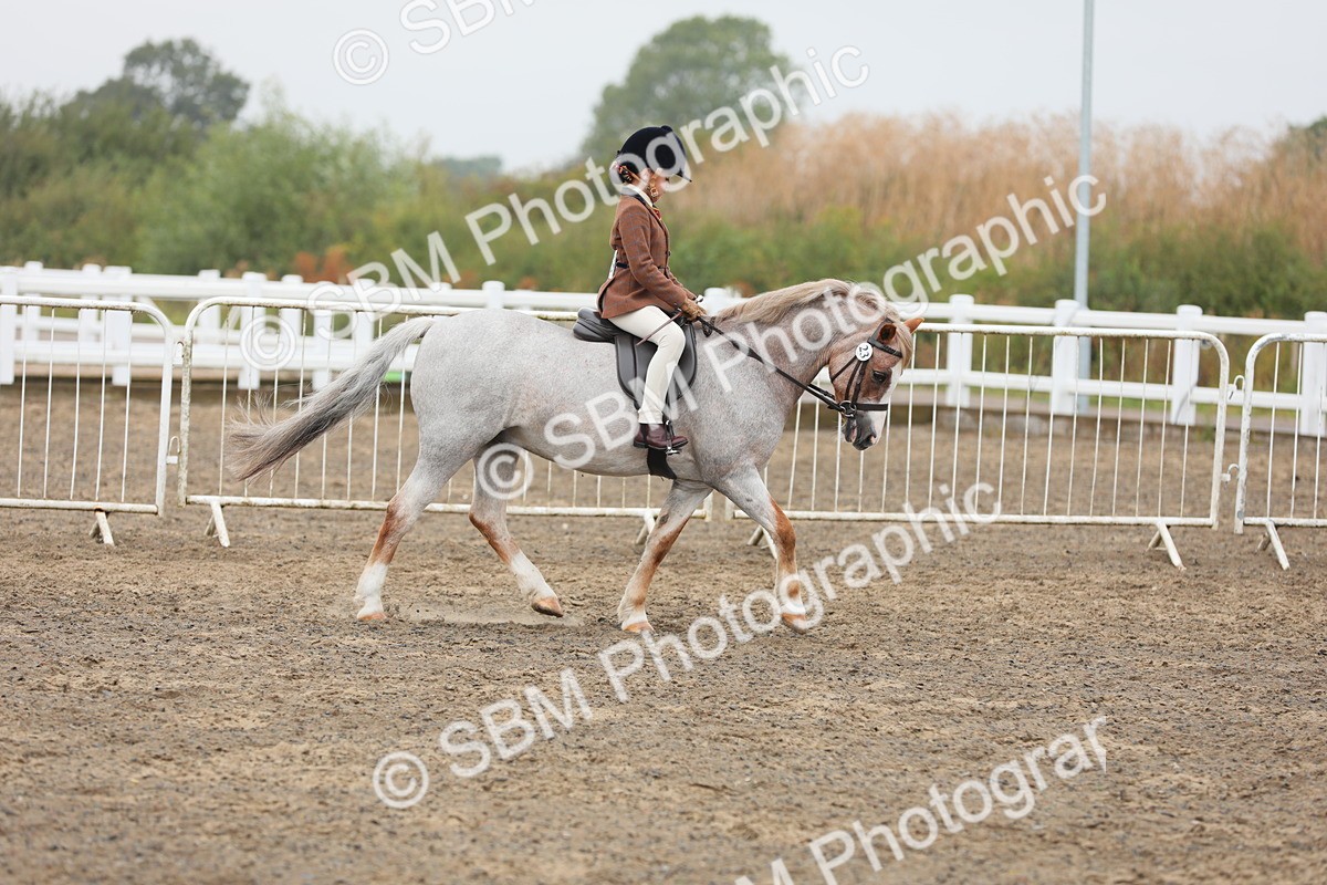 SBM_21728 - Class 806 - Young ridder 10 Yr & Under