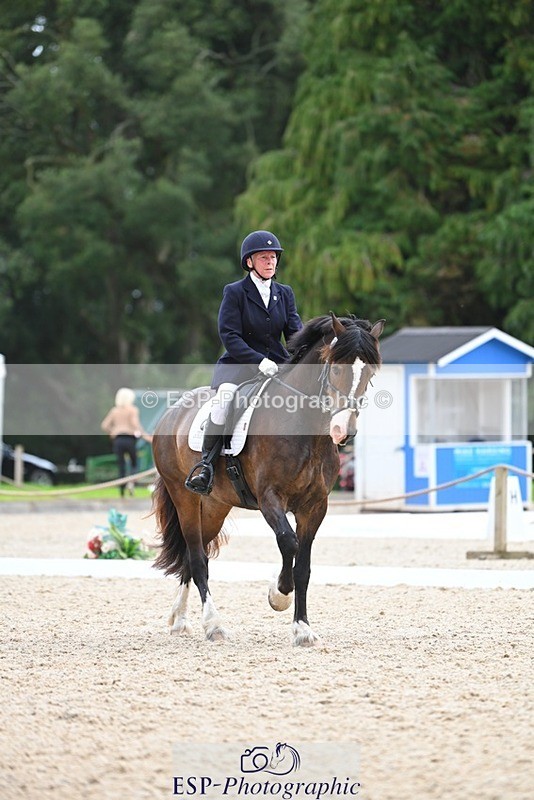 230813-140916-07685 - Cls 13 Medium Bronze 13.15 to End