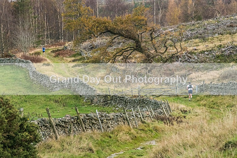 Tweed Valley-30 - High Terrain Events Tweed Valley 50 & 65K Ultra Trail Races Sunday 16th November 2025