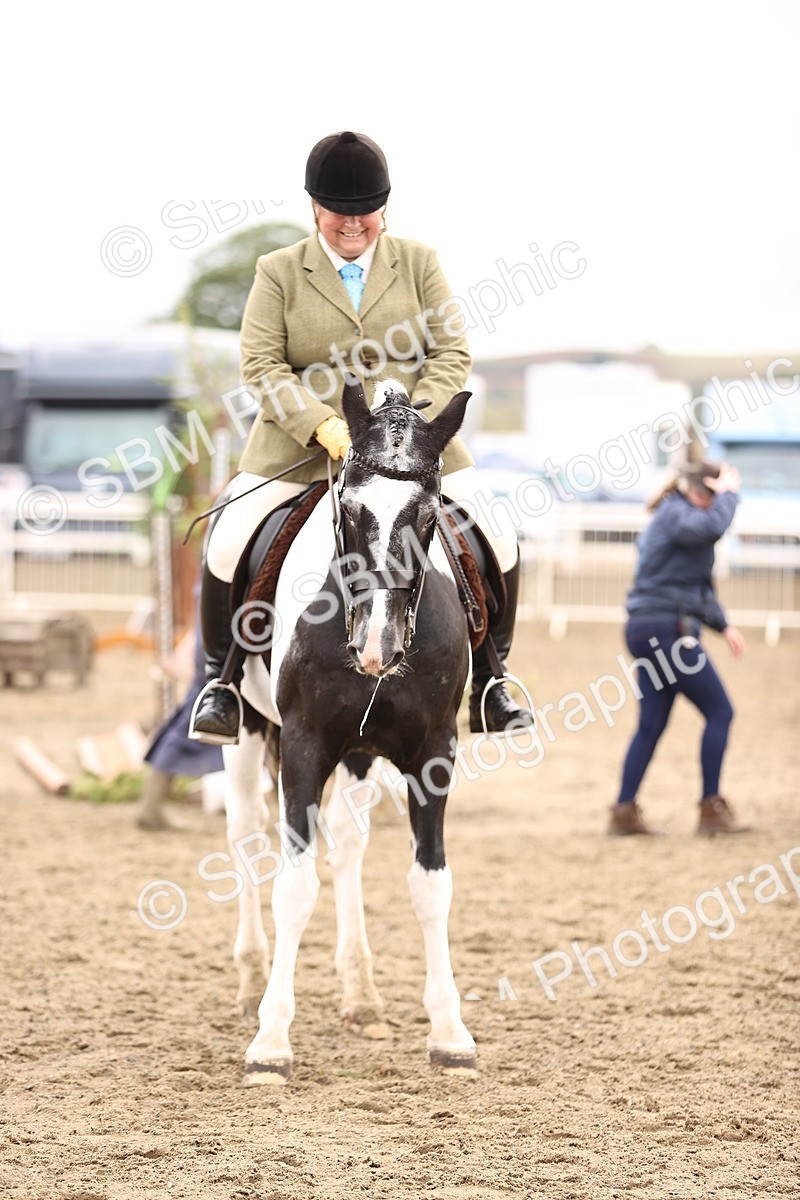 SBM_01438 - Class 54 - Riding Club Horse Pony