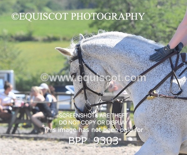 BPP_9303 - CLASS 7 80CM