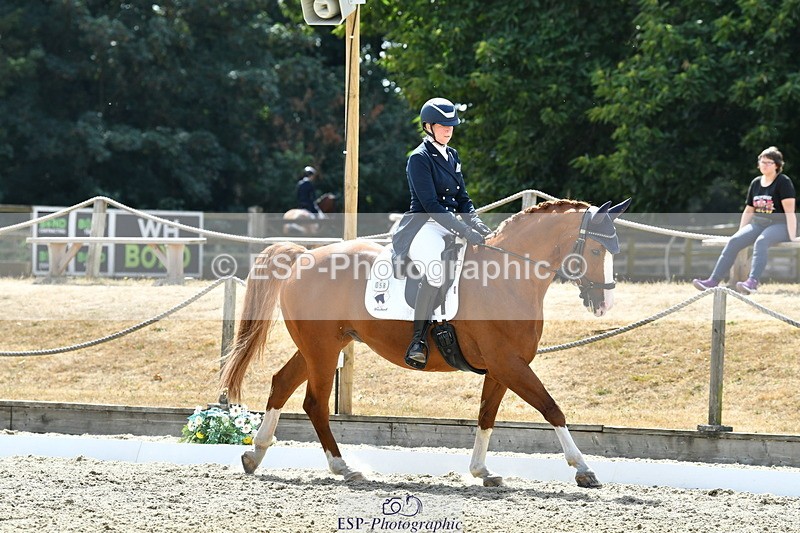 260802A-151846-07363 - Intermediate Bronze