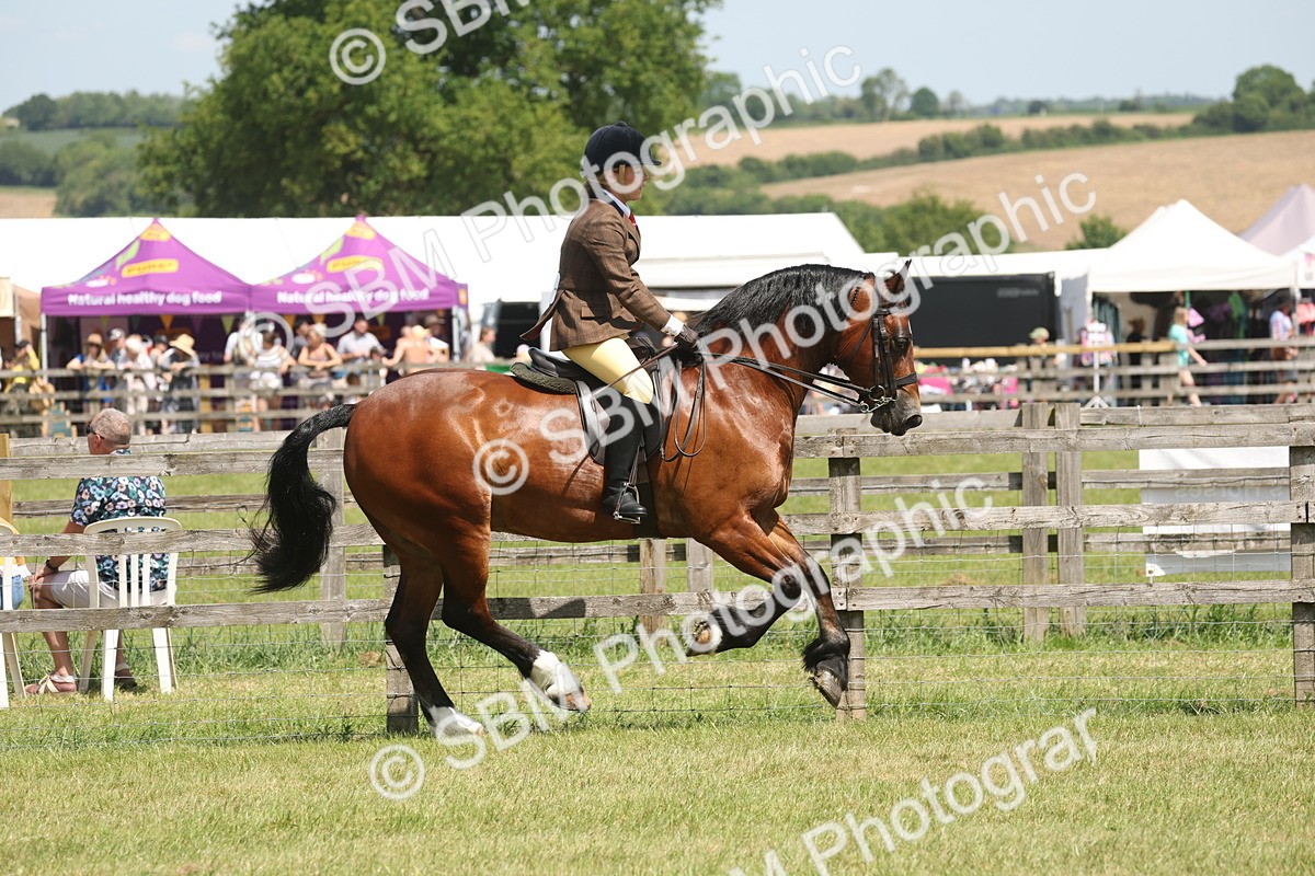 SBM_06908 - Class 26-30 - Mountain and Moorland Ridden