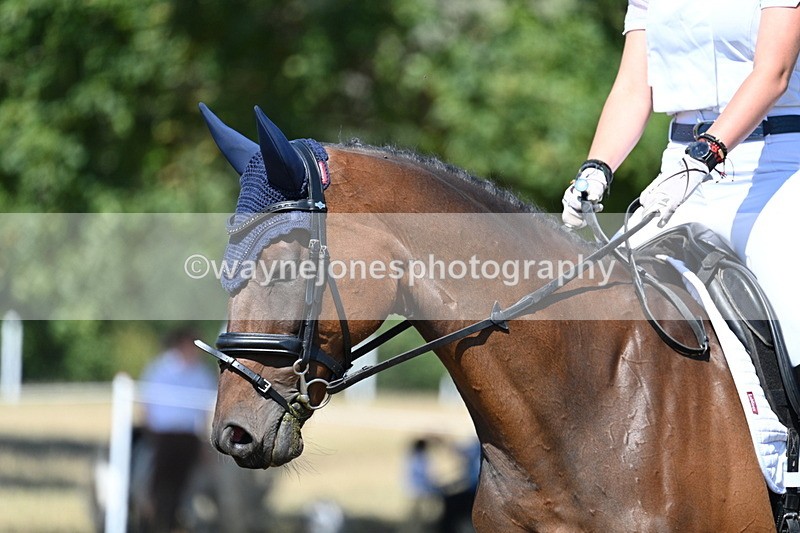 WJ7_1017 - Time 12:34 to 12:47