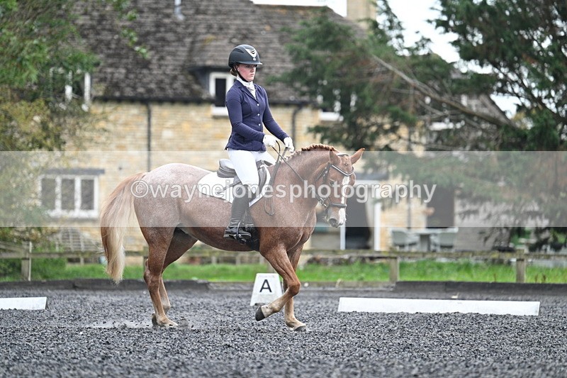 WJ7_3708 - Time 11:04 to 11:38