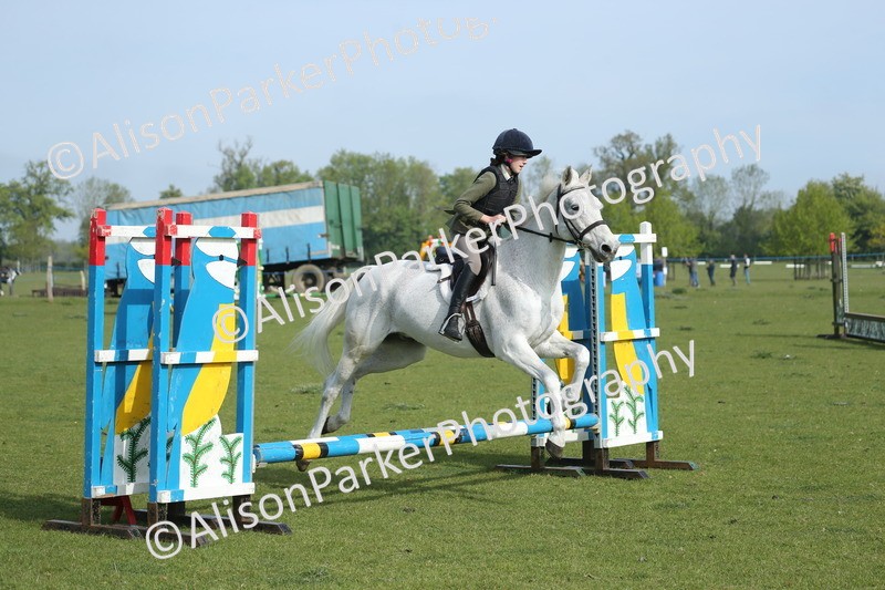 20260426-0170 - Class 13 - Rookie Jumping 50cm