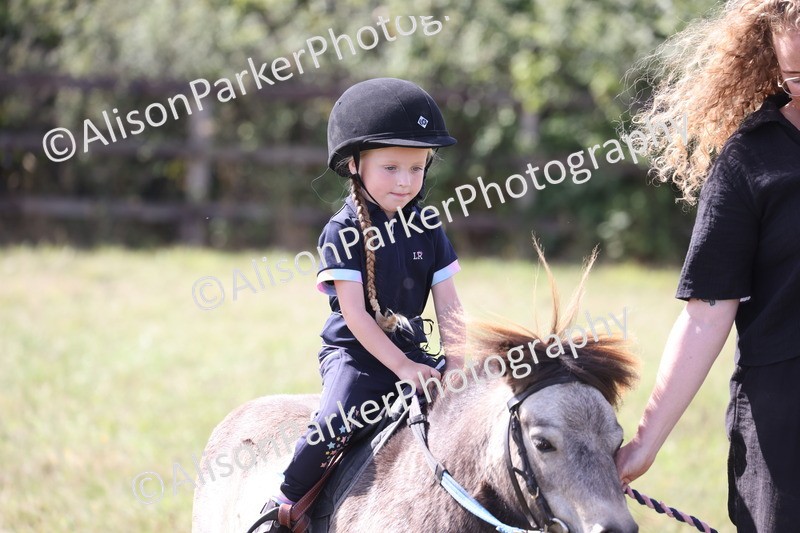 20260906-2785 - Class 25 - Absolute Beginners Pony