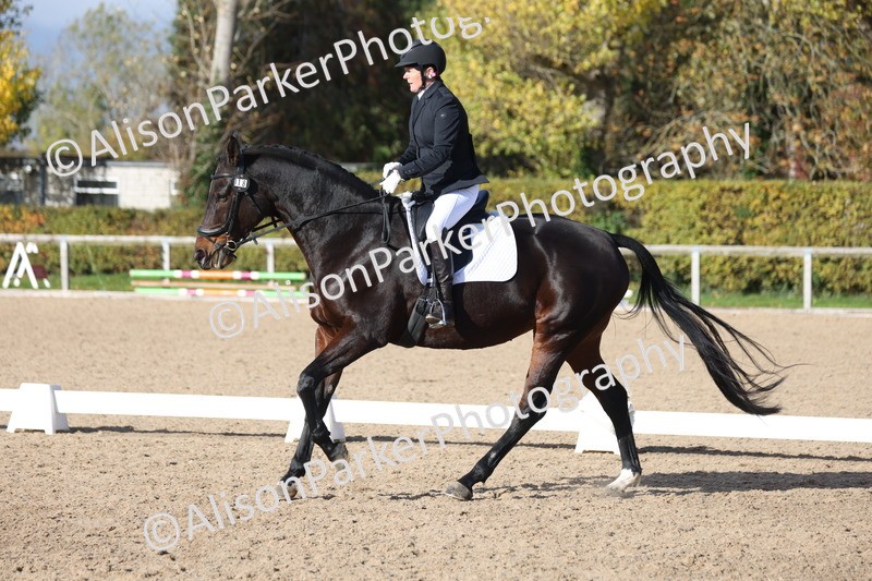 20251101-0607 - Class 4 - Novice 2