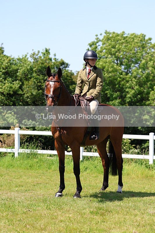 3E7A7380 - Class 30: Novice Working Hunter