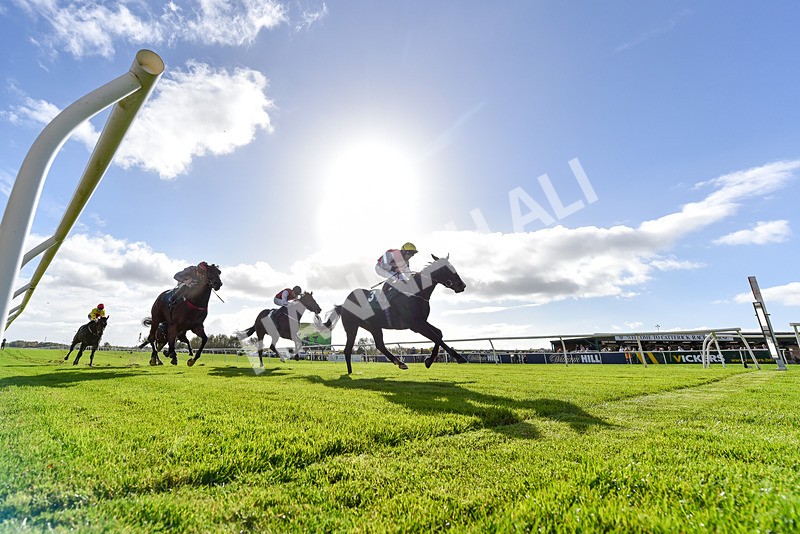 191024-Race 1-Obligatory-8331 - Race 1