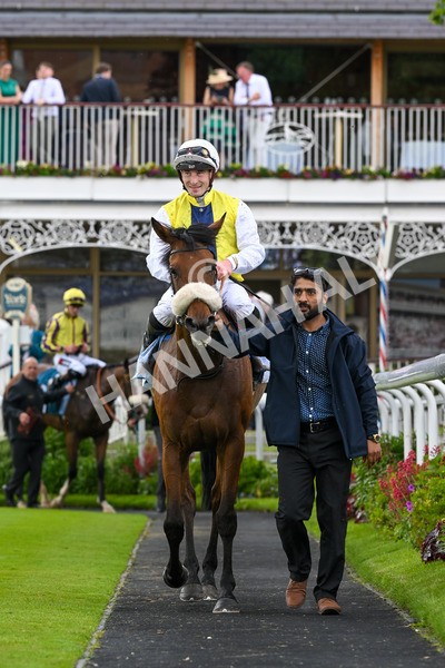 140624-Race 5-Invisible Friend-5356 - Race 6 4.45pm Irish Thoroughbred Marketing Handicap