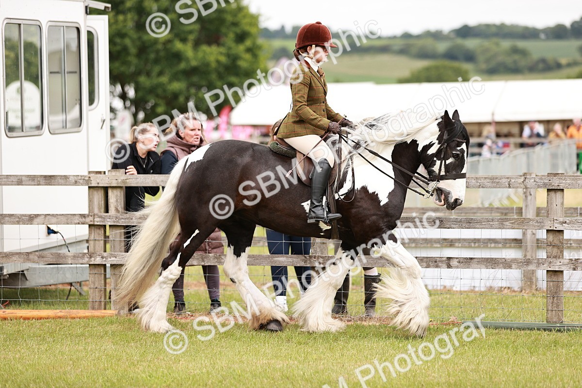 SBM_06102 - Class 39-41 TGCA In Hand and Ridden
