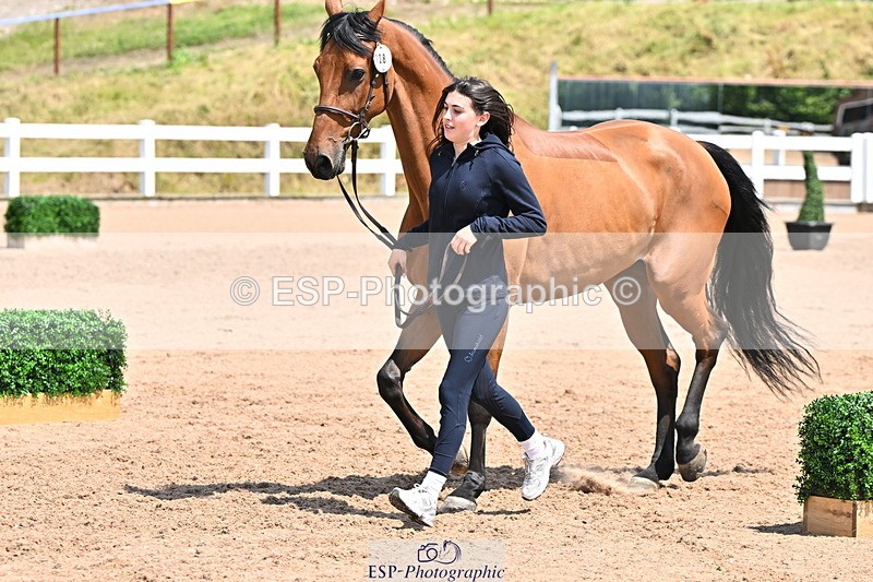 240718A-105316-01786 - Trot Up 1pm to 2pm