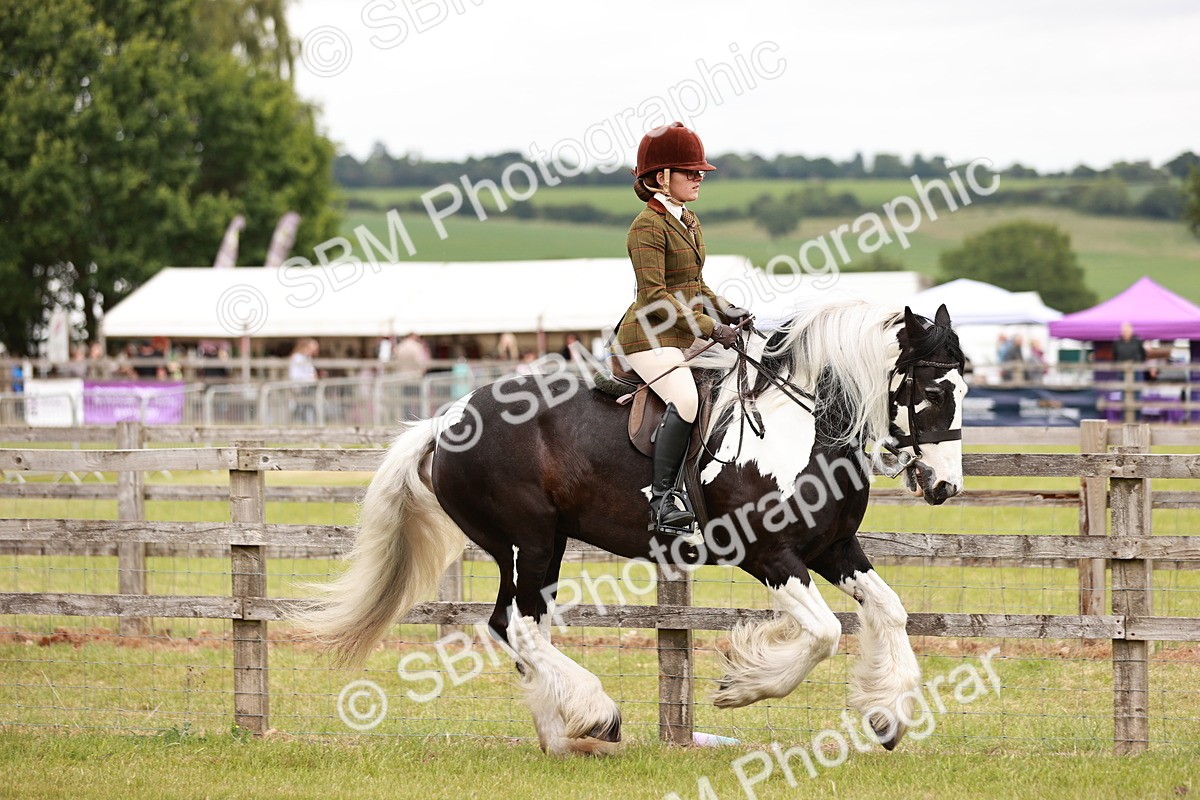 SBM_06121 - Class 39-41 TGCA In Hand and Ridden