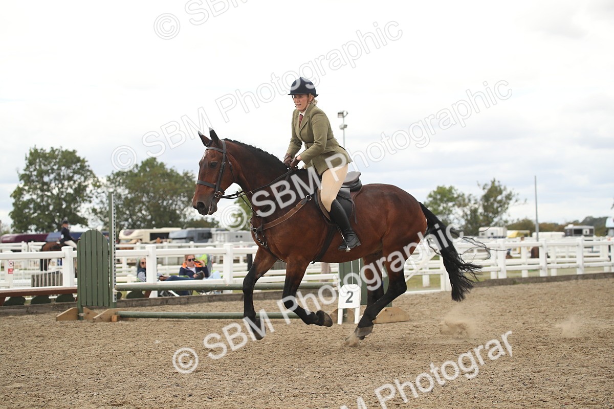 SBM_16803 - Class 507b - Working Veteran 60cm (20+)