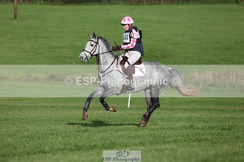 231021-160639-20535 - 553-HARLEQUIN.RABBIT-Althea.Bleekman-SC+XC