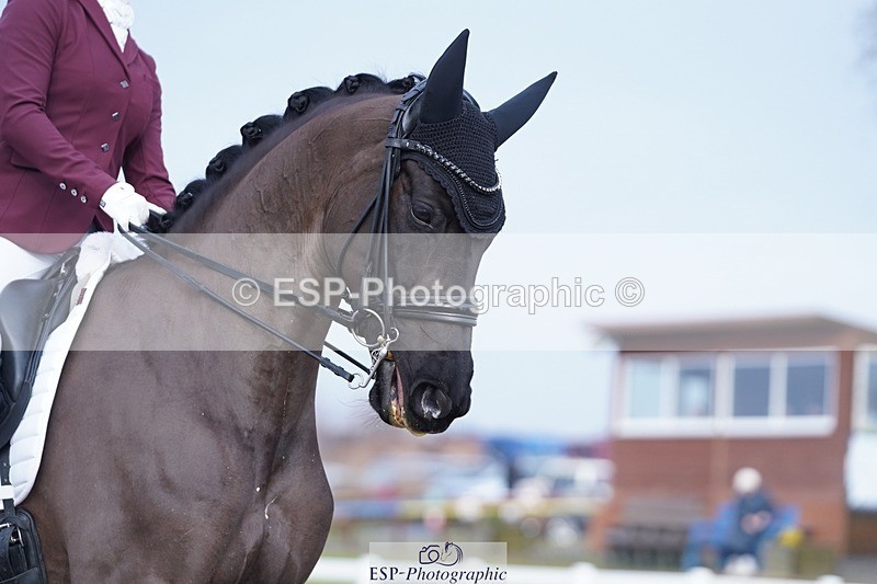 250215-145456-04385 - 184-Lucy.Palmer-La.Vida.loca