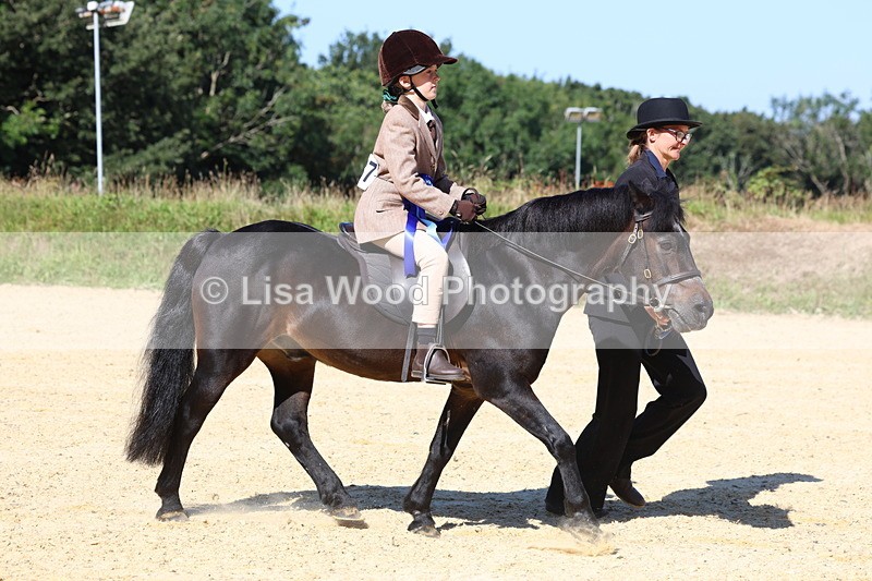 3E7A8083 - Class 15: Lead Rein