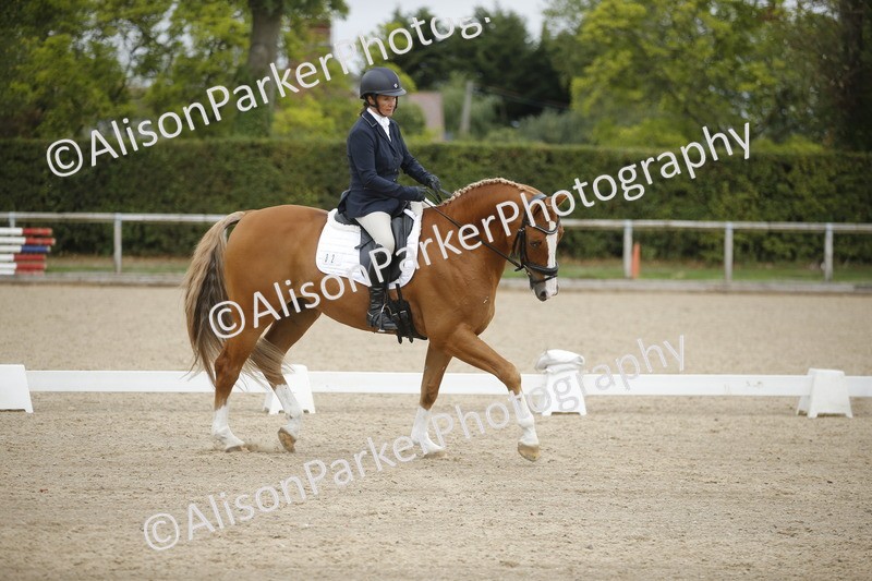 20260913-0205 - Class 3 - Novice 5