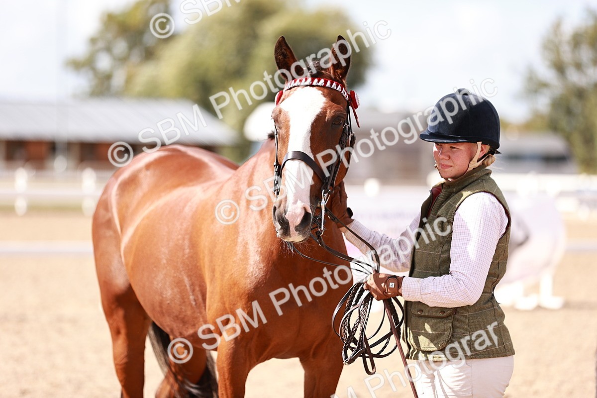 SBM_23016 - Class 707 - IH groom Helpers Class