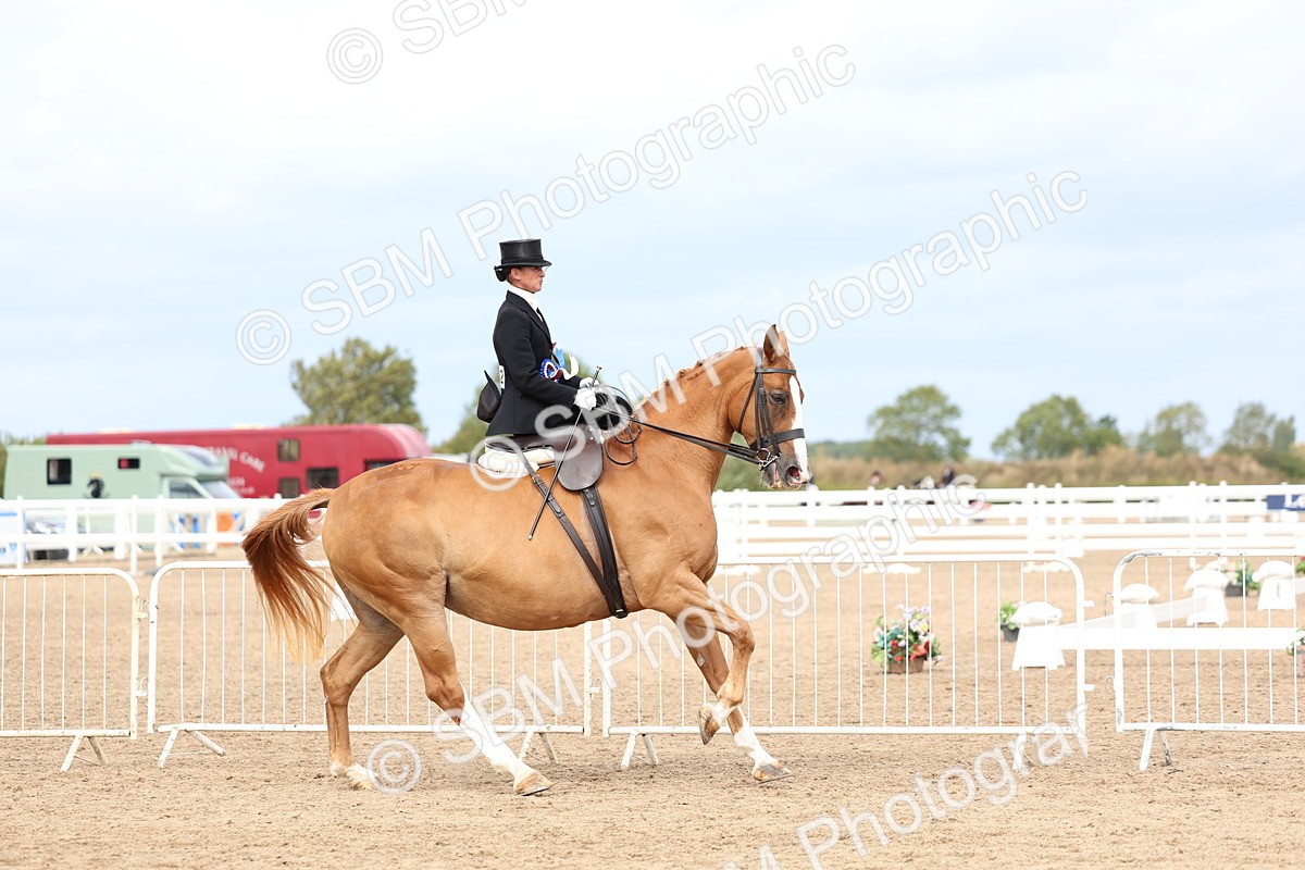 SBM_03370 - Class 23 - SSA Classical (any age)