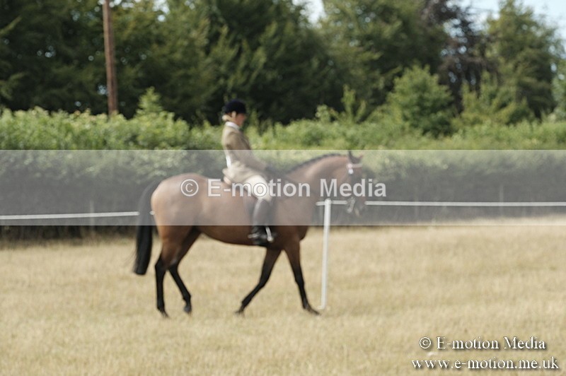 _PJP6077 - BVRC Show 2018 Ring 1