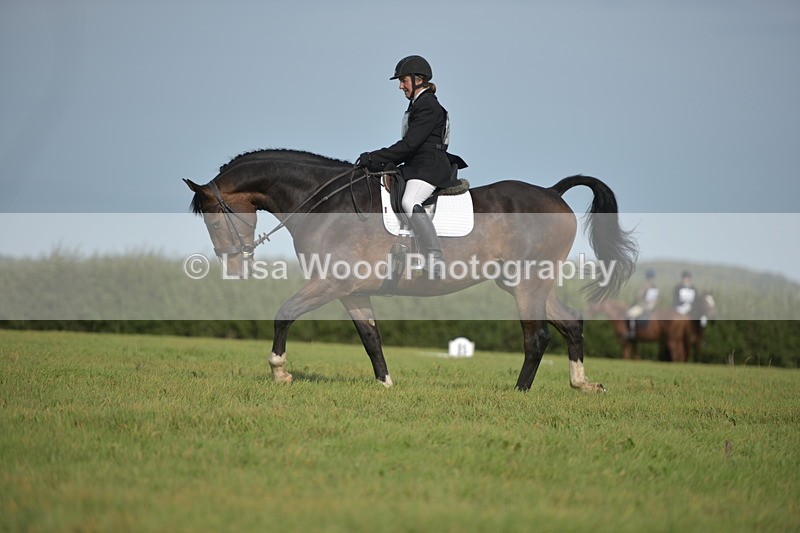 RAY_7897 - Class 2B: Trekenning Open: Dressage