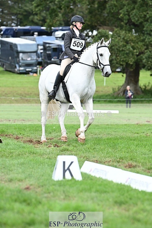 231020-155338-11305 - 509-WOODLANDS.SILVER.CLOUD-Karen.Cowling-DR