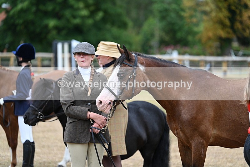 WJ7_8169 - Class 4 Prettiest Mare up to 14.2hh