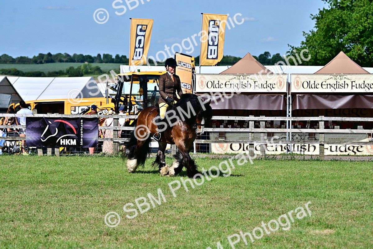 SBM_09358 - Class 63-65 - Traditional Gypsy Cobs In Hand & Ridden