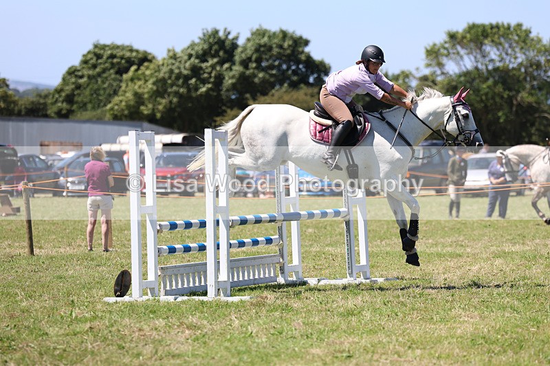 3E7A5651 - Class 9: Senior British Novice/90cm open