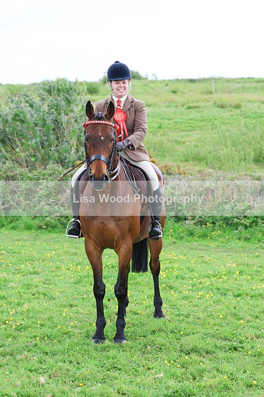 3E7A2033 - Class 10: Ridden Sports Horse