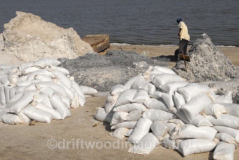 Senegal Lac Rose salt production 8 - Senegal Salt Production at Lac Rose