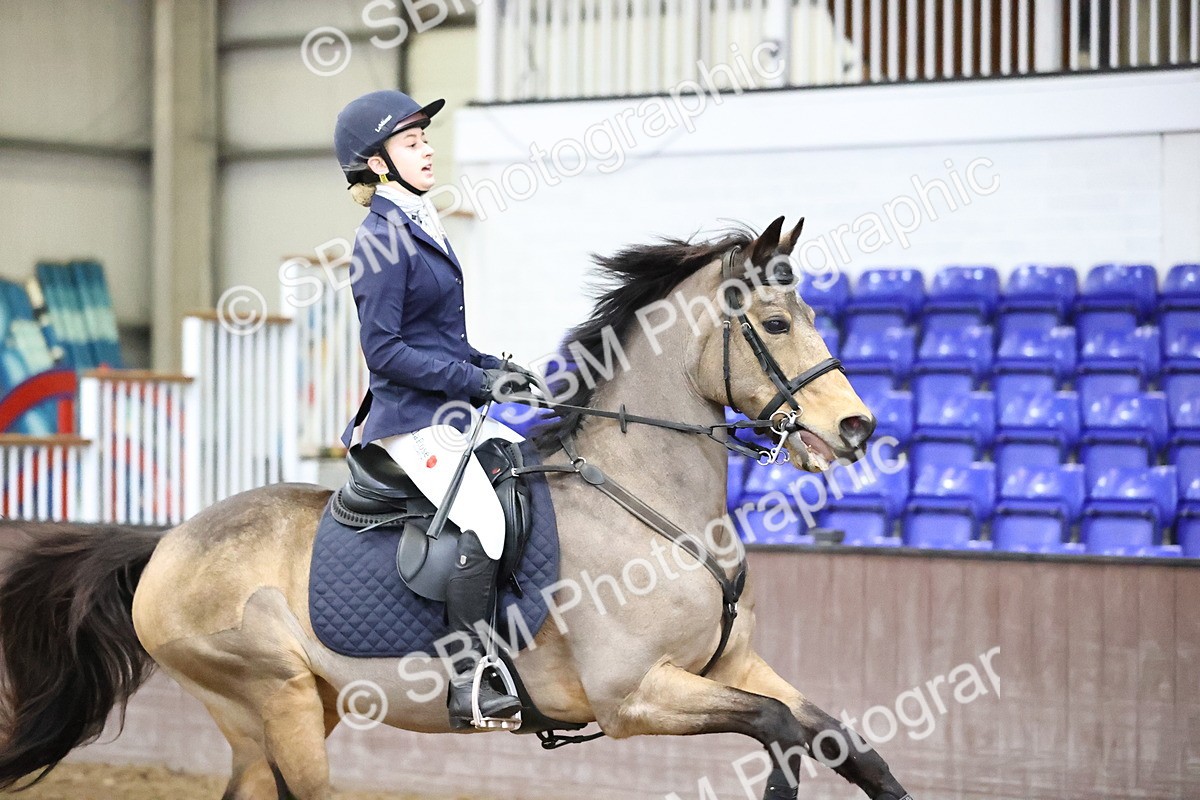 SBM_000391 - Class 2 - Pony British Novice - 80cm