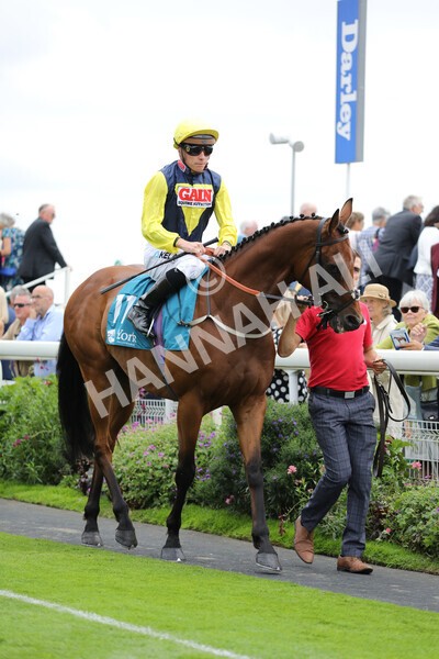 yr18082022r3-11 - Race 3 3.00pm Clipper Logistics Stakes