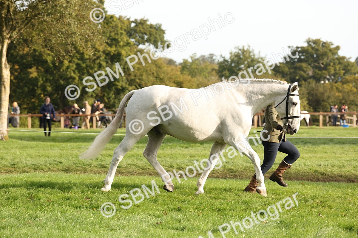 SBM_54689 - S53 - Hunter In Hand