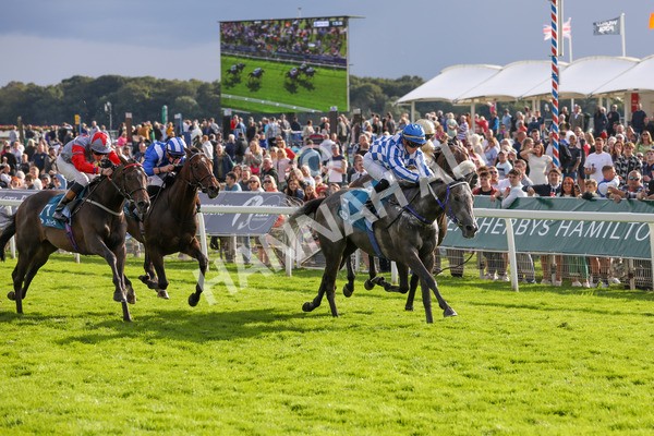 250823-Race 7-Silver Sword-5981 - Race 7 5.15pm Sky Bet Mile Handicap