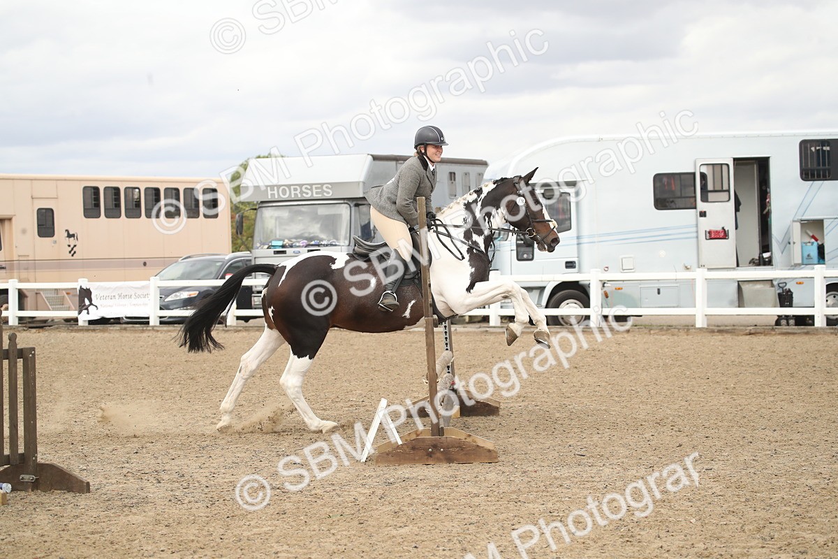 SBM_16626 - Class 507a - Working Veteran - 60cm (15-19)