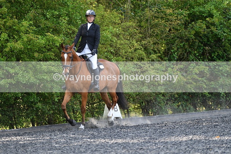 WJ5_9349 - Time 10:10 to 10:47