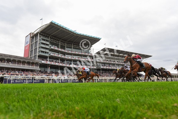 230823-Race 6-Designer-1058 - Race 6 4.45pm IRE Incentive, It Pays To Buy Irish Fillies' Handicap