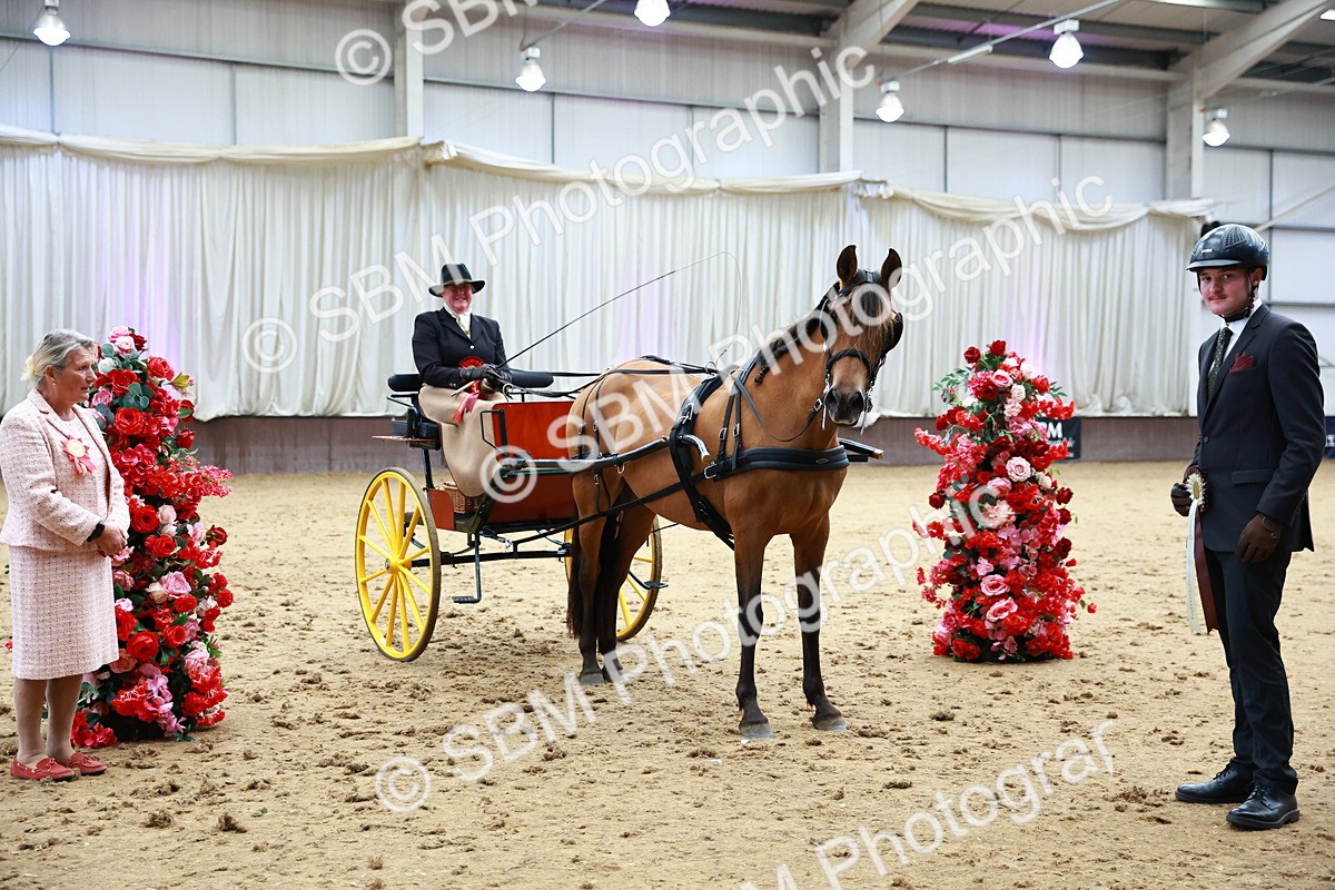 SBM_001081 - Class 15 - Open Showmans Class