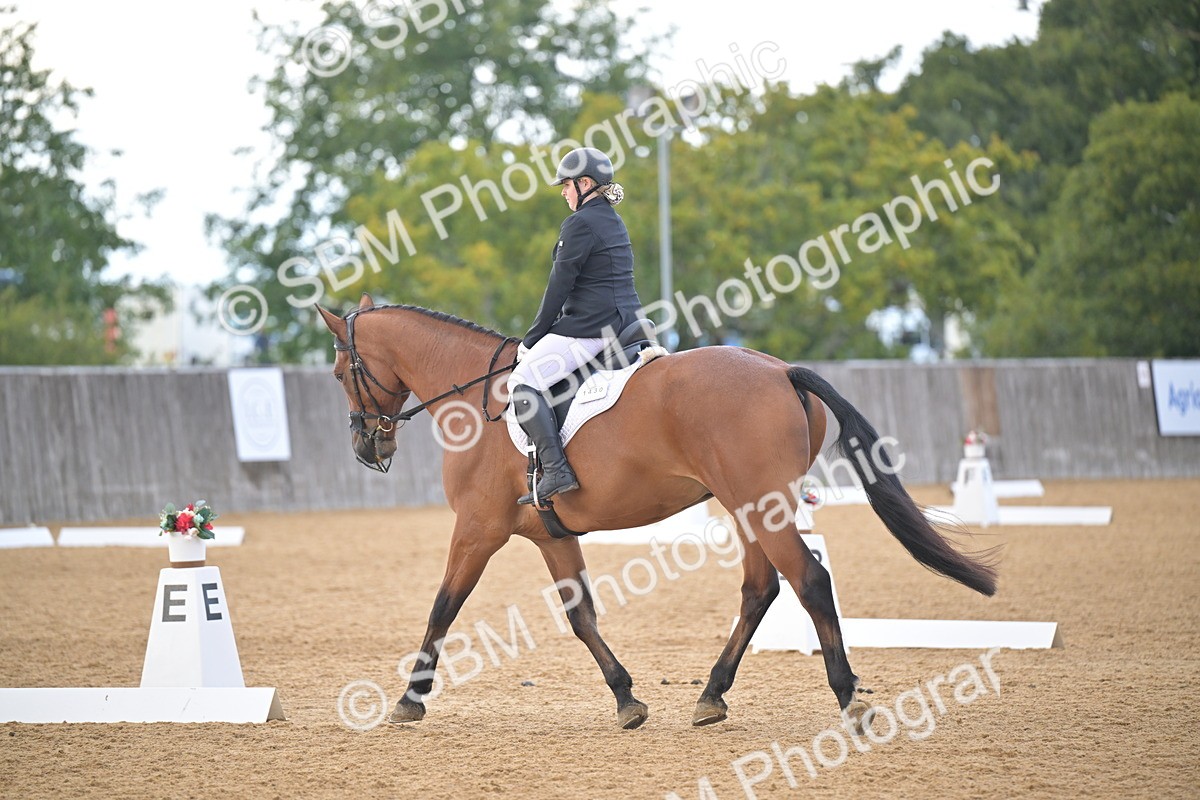 SBM_11250 - D3 - Small Tour Championship Intro 3
