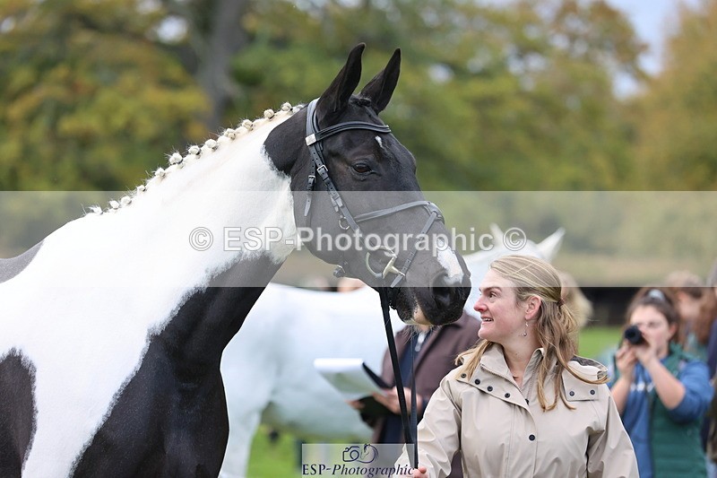 251026A-103722-23145 - G-501-Kathryn.Board