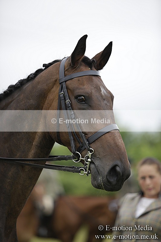 BVR160717-830 - Ring 1 BVRC Show 16/07/17