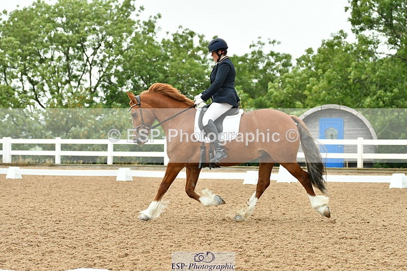 230708A-113100-01101 - Novice 23