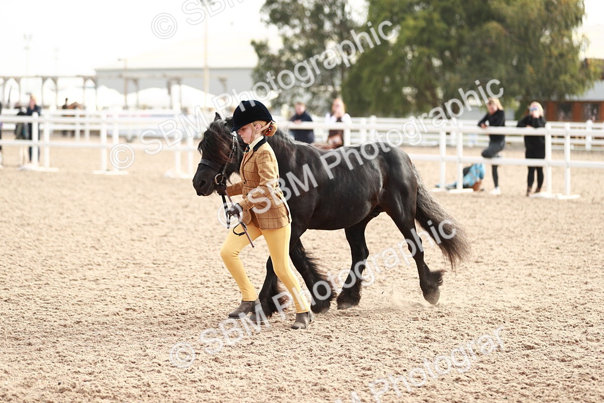 SBM_10545 - Class 204 Young Handler, 11-16 years