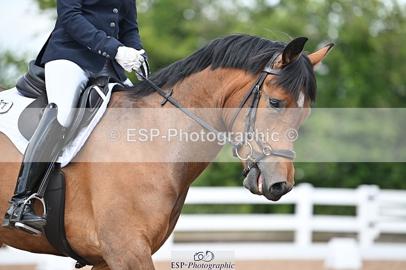 240621A-112838-01976 - Cls 4 BD Novice 22