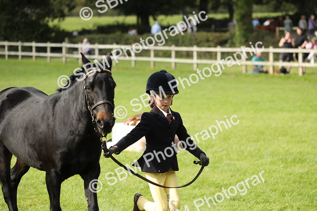 SBM_68582 - S40 - Junior Handler 9-12 Years