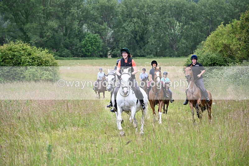 WJ6_8405 - Camera 1 Gallops