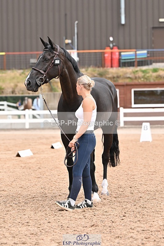 250716-144418-01345 - Trot Up 2.30 to 3.30